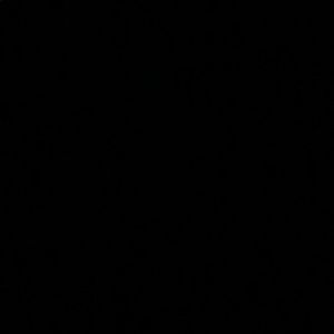 Meet your Posher, Trisha